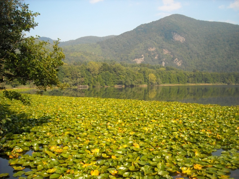 Laghi.....della BASILICATA